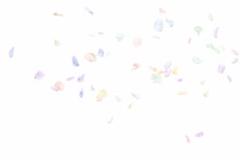 ジャスコ様専用ページ