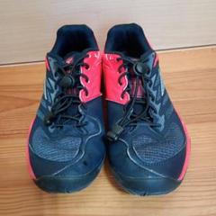 MIZUNO(ミズノ) モデル ウエーブスパーク 23.5