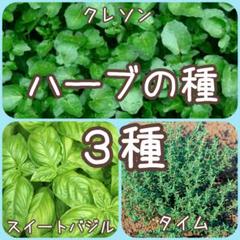 【ハーブの種】3種 150粒 種子