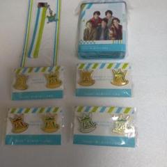 嵐  君と僕の見ている風景グッズ☆ピンバッジ 嵐 会場限定ピンバッジ 〜君と僕の見ている風景〜 グッズの通販