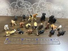 ミニチュア　犬　フィギュア 20体セット