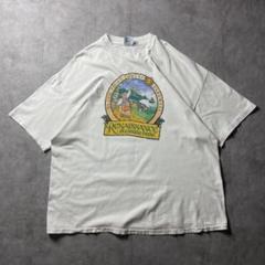 【入手困難】90s USA製 アート 風景 お祭り Tシャツ シングルステッチ