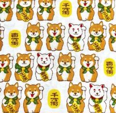 まねき柴犬　和柄　生地　シーチング　オフホワイト　55×30