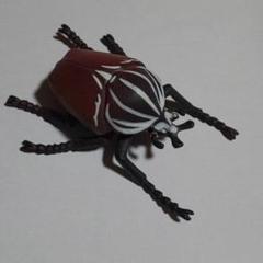 ゴライアスオオツノハナムグリの中古 未使用品を探そう メルカリ ゴライアスオオツノハナムグリの中古 未使用品を探そう メルカリ