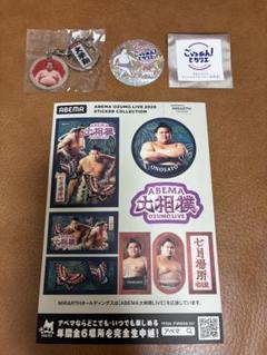 大相撲ガチャ　大栄翔　ダブルチャームキーホルダー