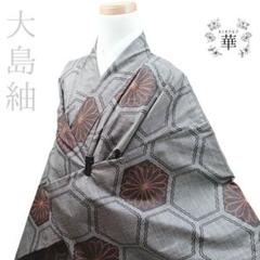 ？ 華 袷 紬 亀甲 花 大島紬 グレー