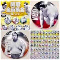 宇良 柔らか表面 缶バッジ 4個セット 大相撲 相撲ガチャ【宇良】缶バッジ2種セット - メルカリ