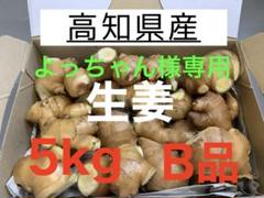 よっちゃん様専用 高知県産 生姜 しょうが B品 5kg - メルカリ