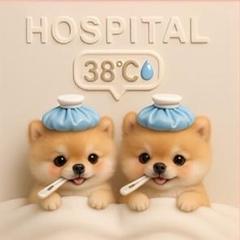 犬柄【限定20枚】【231】パネル生地
