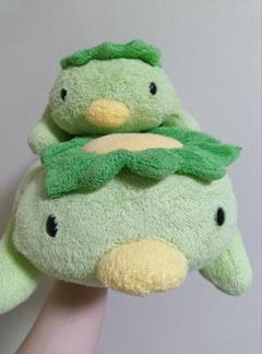 フリッカ　ぬいぐるみ fricca フリッカ ましゅまろせらぴ ライオンぬいぐるみ タグ付き