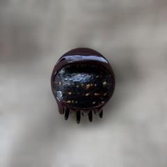 ダークブラウン ヘアクリップ 中型 complex biz