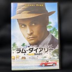 ラム・ダイアリー('11米)