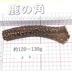 兵庫県北部産★鹿の角 まとめ売り★ 鹿の角 J18 1本190g 兵庫県産 鹿角 鹿のツノ しかつの - メルカリ
