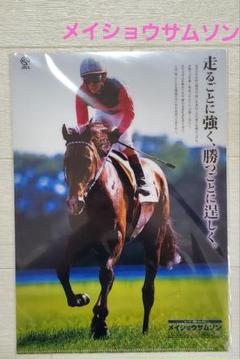ヒーロー列伝　メイショウサムソン　ポスター　直筆サイン入り Amazon.co.jp: JRA ヒーロー列伝ポスター メイショウサムソン
