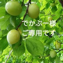 白加賀梅A品、A２L・A３LMix、６㎏、専用出品です。 楽天市場】【ポイント10倍】梅ジャム「しらかが」（160g） 着色