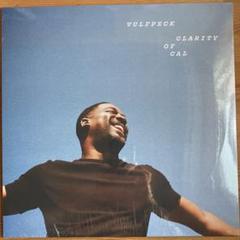 VULFPECK “Clarity of Cal” 新品未開封アナログレコード Vinyl - Vulfpeck - Clarity of Cal (First Vinyl Pressing