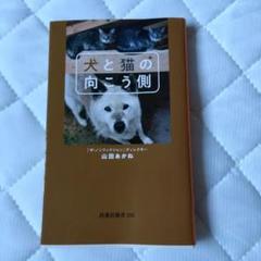 犬と猫の向こう側　山田あかね　中谷百里