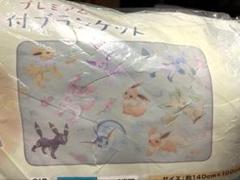 新品未開封 プレミア希少品 イーブイ進化系ブランケット 楽天市場】イーブイ ブランケットの通販