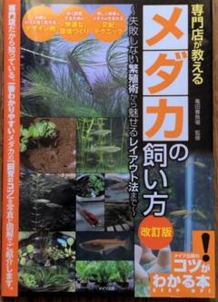 亀田養魚場の中古 未使用品 メルカリ