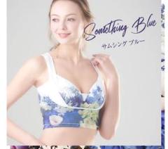 セレブラ サムシングブルー ナイトブラ LLサイズ