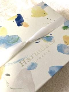【極美品】空箱　ハルウララ　リボン付きのサムネイル