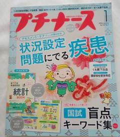 プチナース　雑誌と別冊付録のセット 低 価格本・雑誌・漫画 - プチナース 雑誌と別冊付録のセット