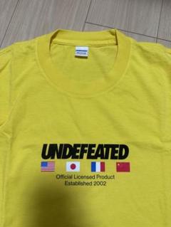 【美品】undefeated アンディ 半袖Tシャツ