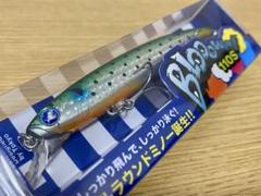 2025年最新】BLUE BLUE ルアー・フライの人気アイテム - メルカリ