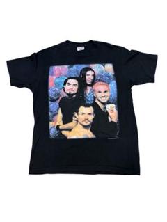 RED HOT CHILI PEPPERS 1995 SOF TEE