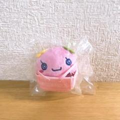 フリッカ　イルカ　ぷちび〜ずまりん　まつもと　ぬいぐるみ フリッカ イルカ ぷちび〜ずまりん まつもと ぬいぐるみ