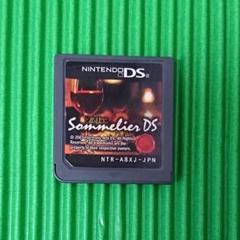 ニンテンドーDS ソフト