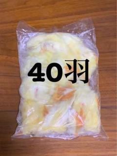 【国産】冷凍ヒヨコ　200羽　ふわふわ鮮度抜群！ 冷凍ひよこ（200羽＋20羽）