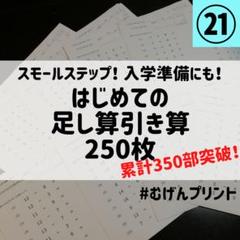 【ちぃ様専用】初めて足し算引き算を学ぶお子様へ!ピグマリオン、入学準備