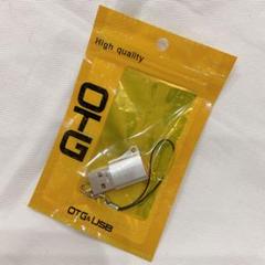 USB Type-C 変換アダプタ (メス) to USB3.0 (オス) 銀色