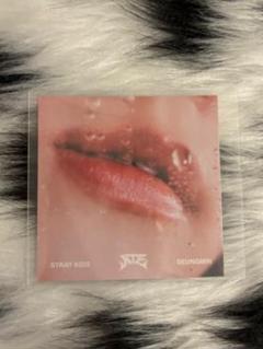 straykids スンミン リップカード