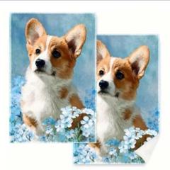 コーギーのプリント画　コーギーとキッチン Amazon.co.jp: クロスステッチ キットコーギー犬40x50cm DIY