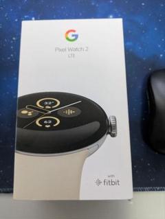 PixelWatch2 LTE Polished Silver/Porcelai