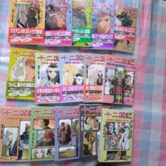 全巻初版　魔性の子・十二国記+IN★Pocket(十二国記特集の雑誌)16冊 魔性の子』小野不由美 「十二国記」エピソードゼロ作品