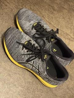アシックス asics GEL-DS TRAINER 24