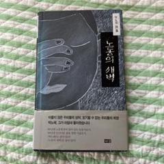 노동의 새벽 박노해시집 詩集　韓国語