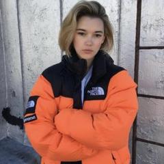 Nuptse Jacket supreme the north faceのサムネイル