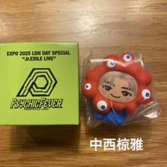 EXILE TRIBE STATION ONLINE STORE｜Jr.EXILE LIVE ミャクミャク