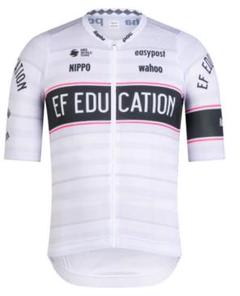Pro Team Arm Screens | Rapha