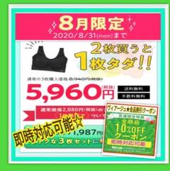 ヴィアージュ ナイトブラ クーポン S SM M ML L LL VIAGE