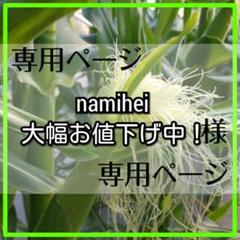 namihei 大幅お値下げ中!様ヤングコーン専用です。