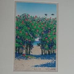 名嘉 睦稔 シダカジ(涼風)