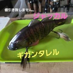 ジャッカル　ギガンタレルのサムネイル