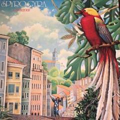 Spyro Gyra Carnaval レコード スパイロ　ジャイラ