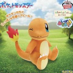 ポケモンセンター 連れ歩き マスコット ぬいぐるみ ヒトカゲ 中古 ポケモン ぬいぐるみ ヒトカゲ ポケモンセンター限定