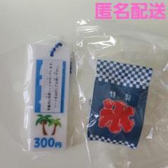 【バラ売り不可】新品未使用 かき氷系 キーホルダー 2点セット